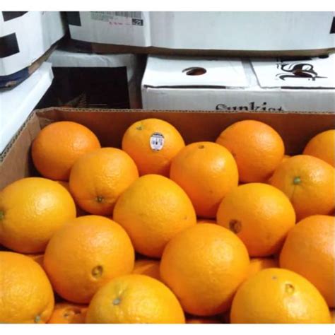 Jual Jeruk Navel Oranges Shopee Indonesia