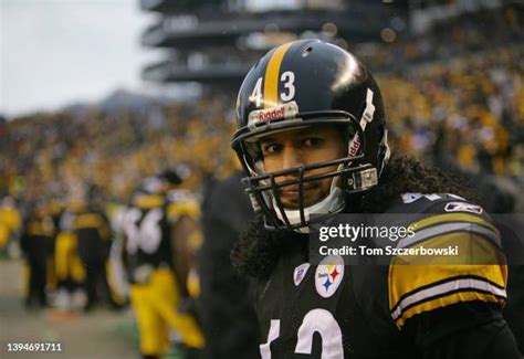 Troy Polamalu Photos Photos and Premium High Res Pictures - Getty Images