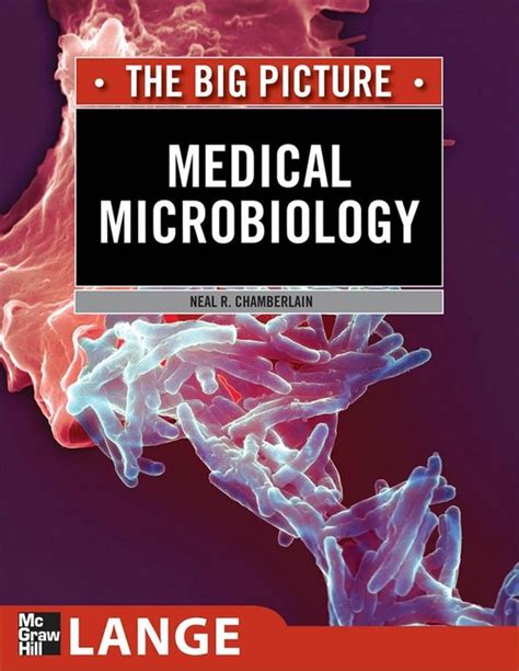 Lange The Big Picture Medical Microbiology The Big Picture Ebook