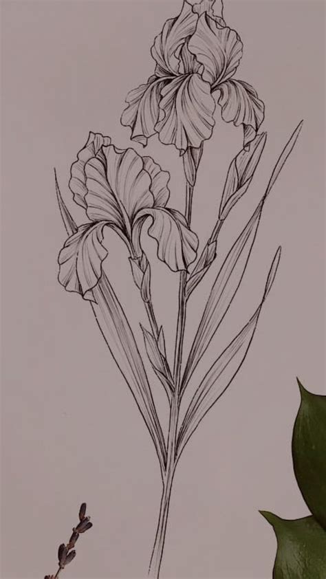 A Drawing Of Two Flowers On A Gray Background With Green Leaves And One