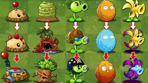 Pvz 2 Discovery Every New And Old Plants Evolution Noob Pro Hacker