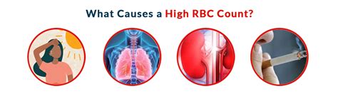 RBC Count High, Good, or Bad? Symptoms, Causes and Prevention