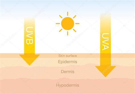 La diferencia de radiación 2 tipos en la luz solar con la piel 2022