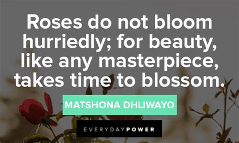 Bloom Quotes About Beauty And Growth That Will Make You Smile Daily