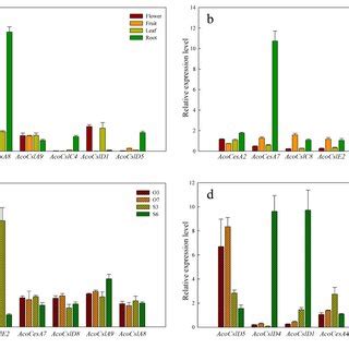 Synteny Analysis Between Pineapple And Arabidopsis Ces Csl Genes