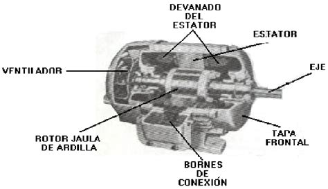 Eksperts P Rk Pumi Aujampulveris Como Funciona Un Motor Trifasico