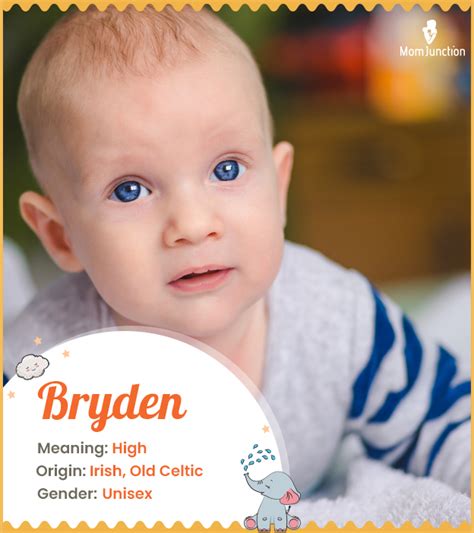 Origin Meaning Other Facts About Baby Name Bryden