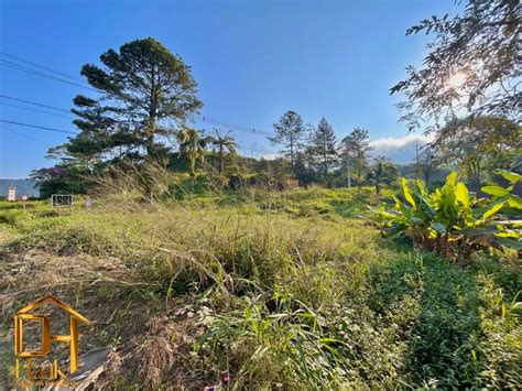 Terreno Comercial Em Joinville Sc Rio Bonito Pirabeiraba