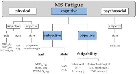 Brain Sciences Free Full Text Cognitive Fatigue In Multiple