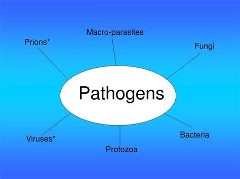 Ppt Types Of Pathogen Powerpoint Presentation Free Download Id2095978