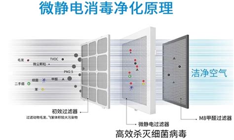 微静电空气消毒净化原理是什么？看这张图就知道了 凤凰网