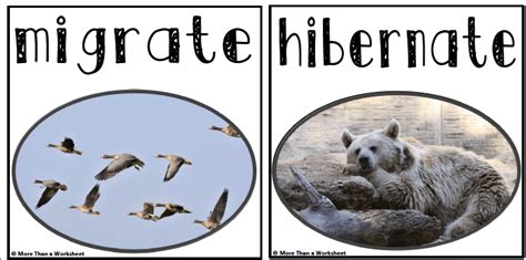 Hibernate Migration Guide