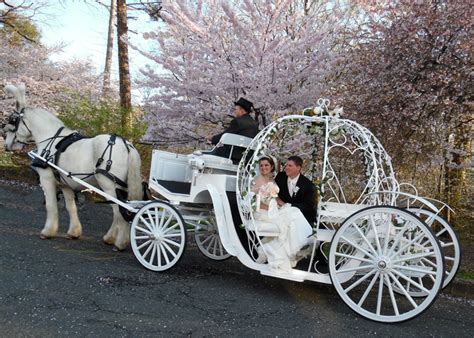 NJ Wedding Services - Dream Horse Carriage Company - Home of Cinderella ...