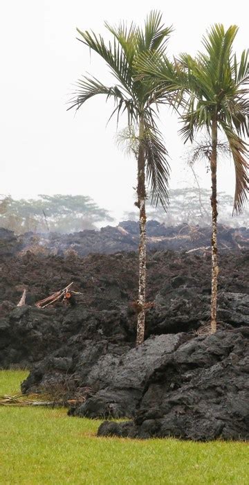 Lava Consumes Homes As Hawaii S Kilauea Volcano Erupts