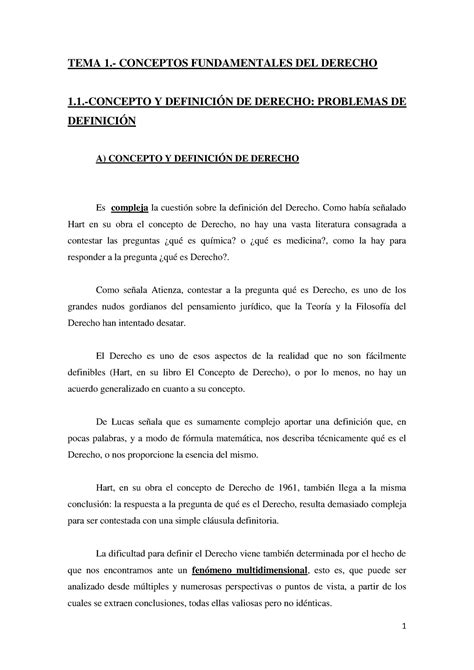 Tema 1 RRLL Teoria Del Derecho Tema 1 TEMA 1 CONCEPTOS