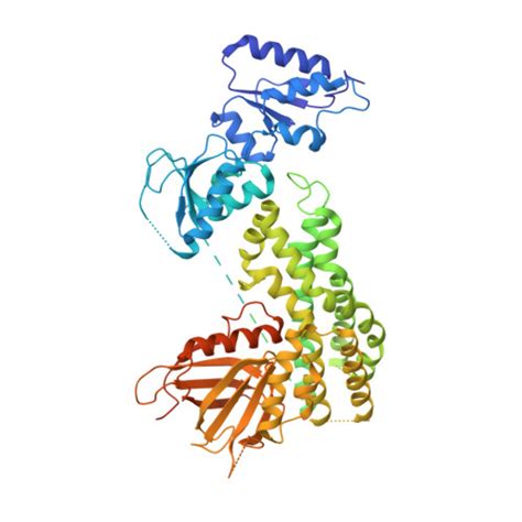 Gene Q H V Protein Ect Overview Cansar Ai