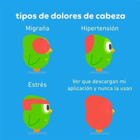 Momazos Duolingo Meme Subido Por Jv Memedroid