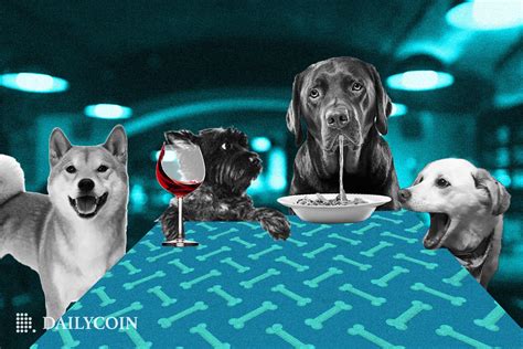 Shiba Inu Shib Launches Social Hub For Upcoming Shibarium Dailycoin