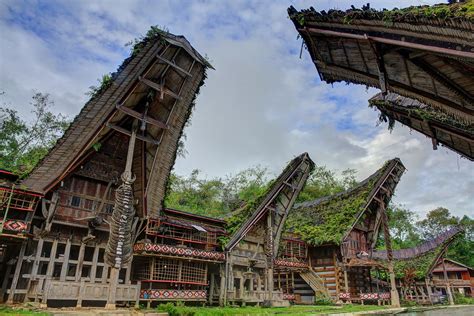 Rumah Adat Tongkonan Toraja