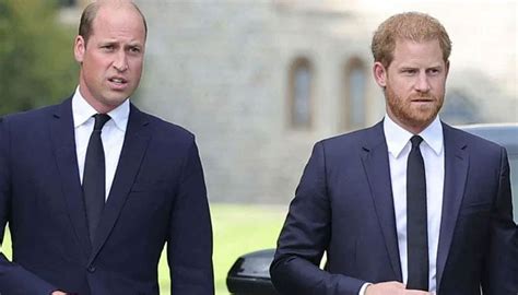 Prince William Finally Offers Olive Branch To Harry