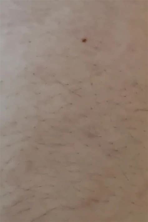 Handjob Gay Amateur Amateur Porn Feat RegularForehead65 By FapHouse XHamster