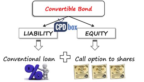 How To Present Financial Instruments Under Ias 32 Cpdbox Making