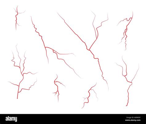 Set Of Human Eye Veins Red Blood Vessels Blood System Vector