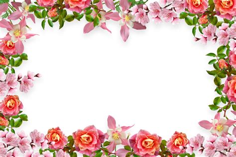 Floral Frame Background Graphic by Fstock · Creative Fabrica