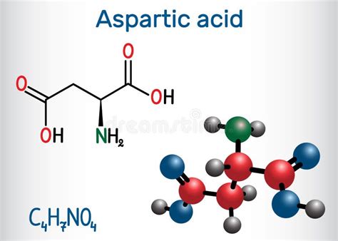 Model of aspartate stock illustration. Illustration of carbon - 29756063