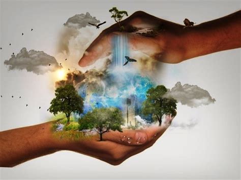 ¿cómo Prevenir El Impacto Ambiental Blog Didáctico