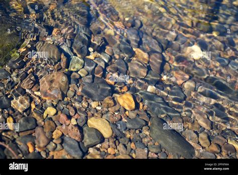 View Through Them Clear Water Of A Shallow Flowing Stream To Stones