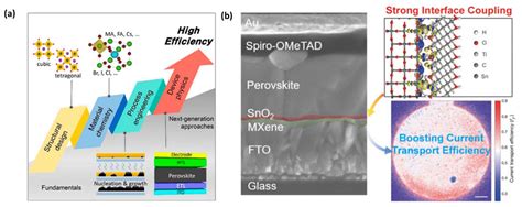 Chemosensors Free Full Text Design Of Functional Ti3C2Tx MXene For