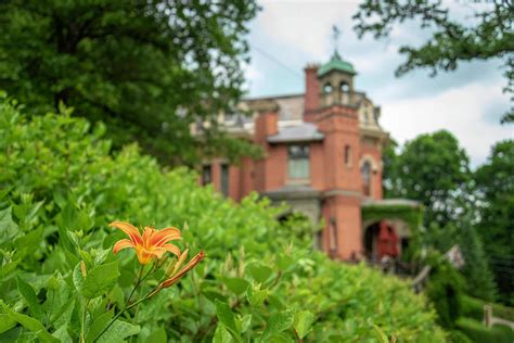 Harry Packer Mansion and a Lily Photograph by Desha - Fine Art America