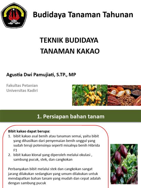 Pert 5 Teknik Budidaya Kakao Pdf