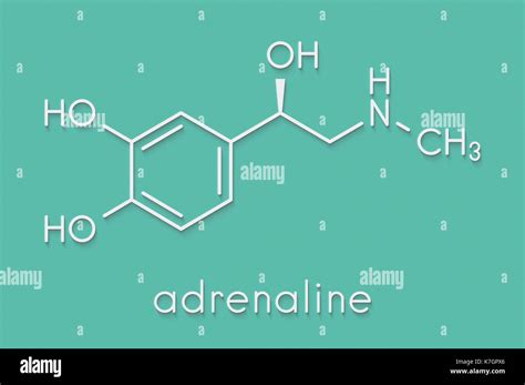 Adrenaline Adrenalin Epinephrine Neurotransmitter Molecule Used As