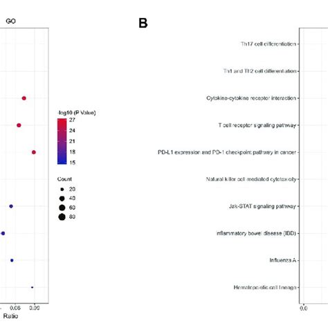 A Enrichment Result Of Overlapping Immune Related DEGs GO Term B