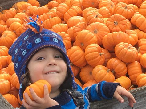 Packer Pumpkin Patch - Hours of fun activities. - Zoller's Outdoor Odysseys