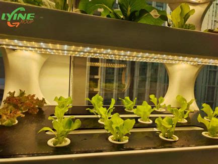 The Best Indoor Hydroponic Grow Cabinet for Beginners