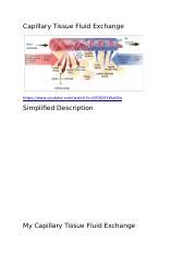 Capillary Tissue Fluid Exchange Docx Capillary Tissue Fluid Exchange