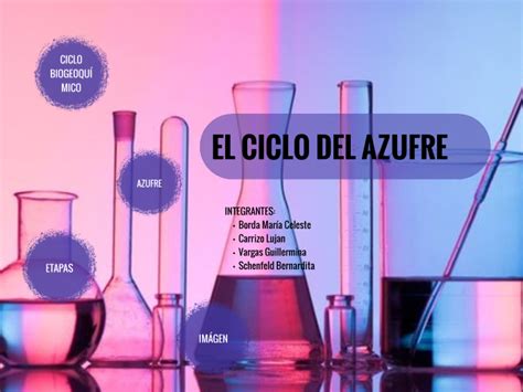 Ciclo Del Azufre By Celeste Borda On Prezi