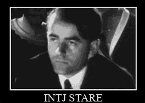 Intj Stare Intp Stare  Intj Stare Intj Intp Stare Discover And Share S