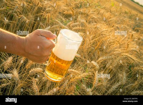 Cerca De Machos Mano Sujetando El Vidrio Jarra De Cerveza Campo De