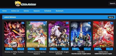 Anitube（アニチューブ）の代わり後継になる無料アニメサイトおすすめ Leawo 製品マニュアル