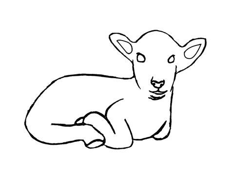 Drawing Lamb 204 Animals Printable Coloring Pages