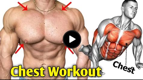 5 Best Exercises To Get Bigger Chest 🏋️ Youtube