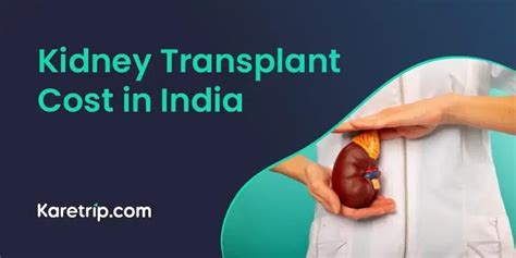 Understanding Kidney Transplant Costs In India A Comprehensive Guide