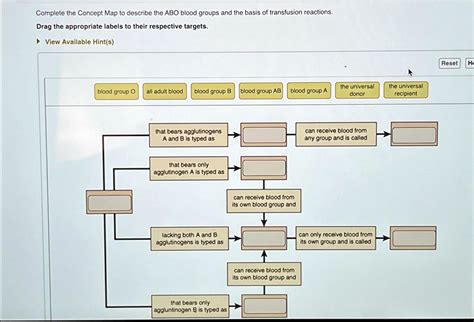 SOLVED Complete The Concept Map To Describe The ABO Blood Groups And