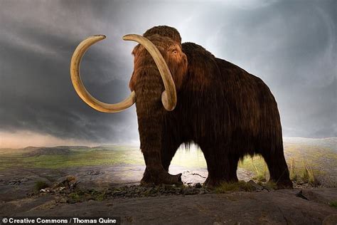 North America's megafauna made extinct by cold snap 12,900 years ago ...