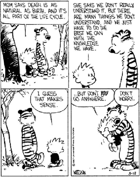 Pin By Judit Kokas On Fun Stuff Calvin And Hobbes Comics Calvin And Hobbes Quotes Calvin And