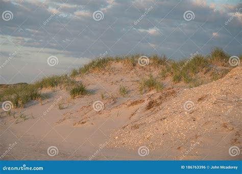 Duna De Areia Grama De Praia No Amanhecer Foto De Stock Imagem De